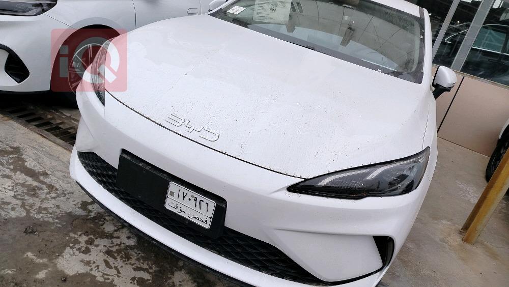 بي واي دي سيل 06 DM-i